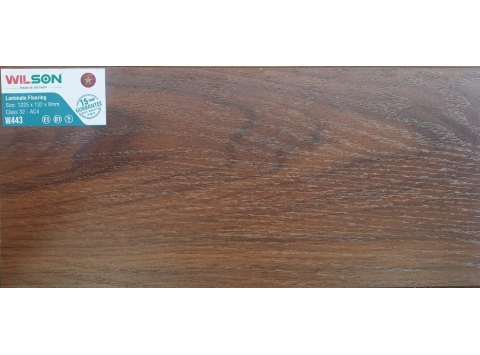 Sàn gỗ công nghiệp Wilson W443