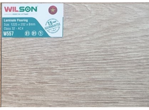 Sàn gỗ công nghiệp Wilson W557
