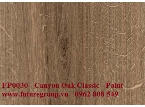 Sàn gỗ công nghiệp Floorpan FP30_Canyon Oak Classic AC4 - 8