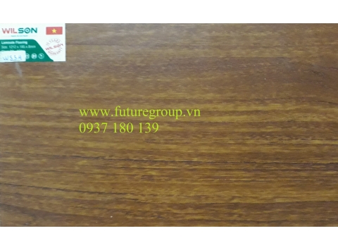Sàn gỗ công nghiệp Wilson W554